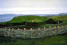 Color photograph