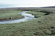 Color photo of Boar River, small version.