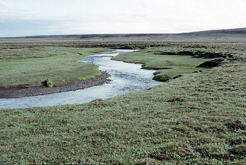 Color photo of Boar River, larger version.