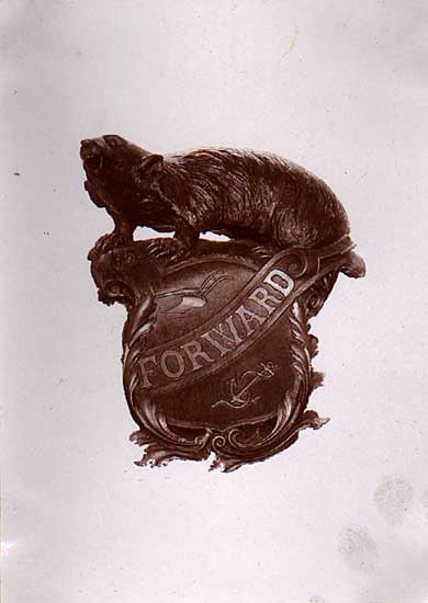 Image of Cast of Badger