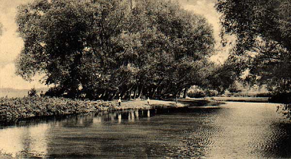 Image of Tenney Park