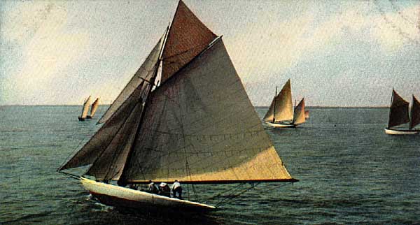 Image of Yacht Race