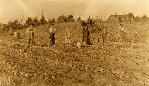 Image of Family in Potato Field