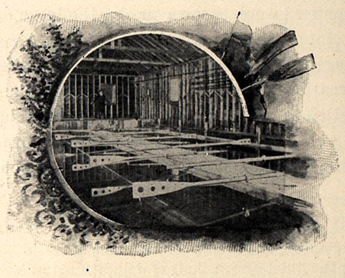 Image of In the Rowing Tank