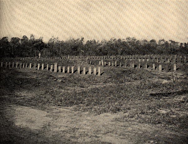 Image of Cemetery at Andersonville Prison