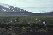 Color photo of Tómas's Meadow, small version.