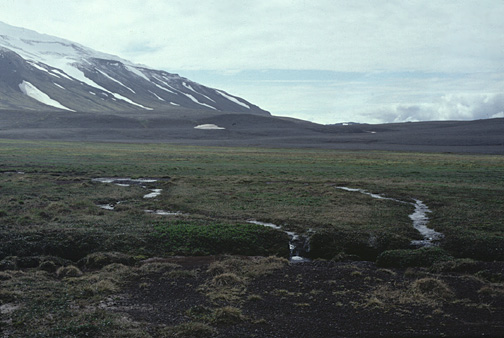 Color photo of Tómas's Meadow, larger version.