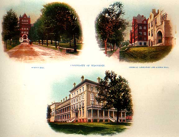 Image of University Buildings