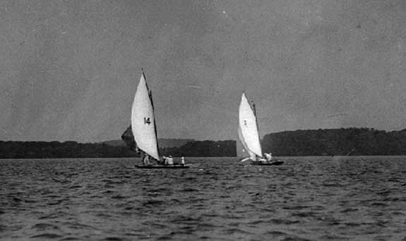 Image of Sailboats