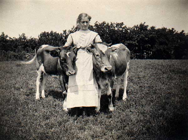 Image of Woman and Two Cows