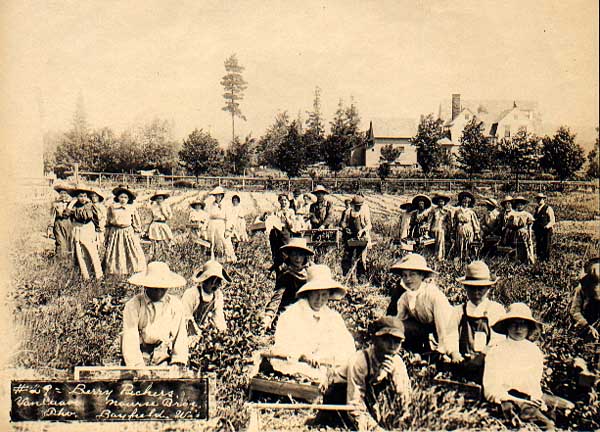 Image of Berry Pickers