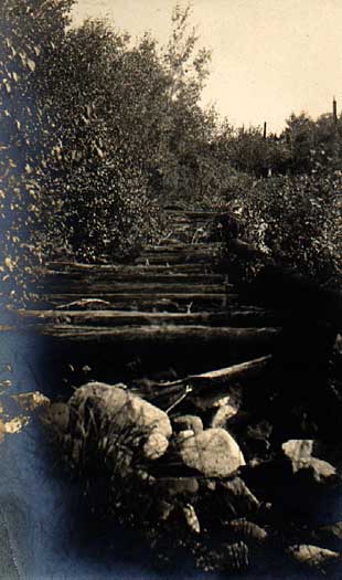 Image of Old Logging Road