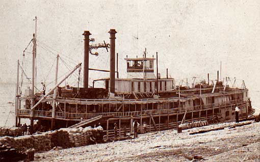 Image of The Mary Morton
