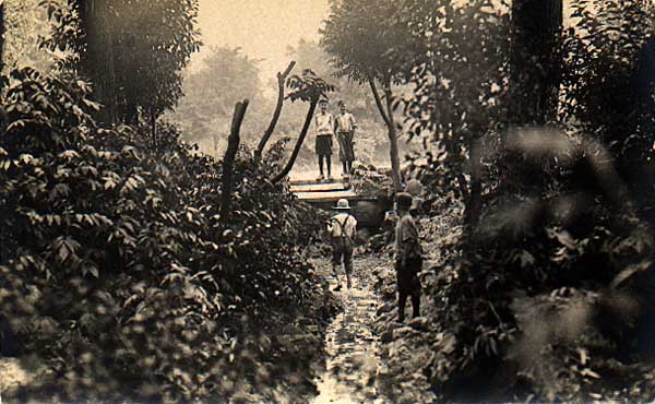 Image of Boys in the woods