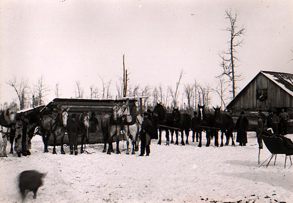 Image of Bruno Vinette's Lumber Camp