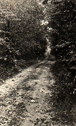 Image of Old Stage Road