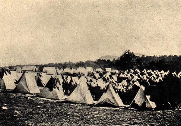 Image of The Army of the Potomac